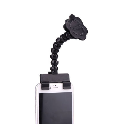 Flexibel svanhalsklämma för framgång med attraktiva husdjursfoton